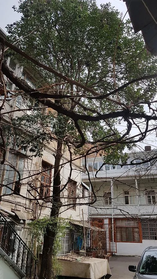 Apartment Tabizde 21 Τυφλίδα Γεωργία